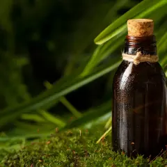 Perfumy szyprowe dla kogo? Odkryj, czy to zapach dla Ciebie