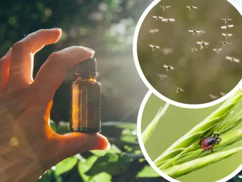Czy perfumy odstraszają komary? Odkryj skuteczne zapachy, które pomagają