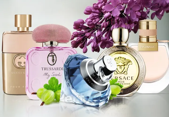 Gdzie kupić perfumy bez i agrest? Sprawdź najlepsze oferty
