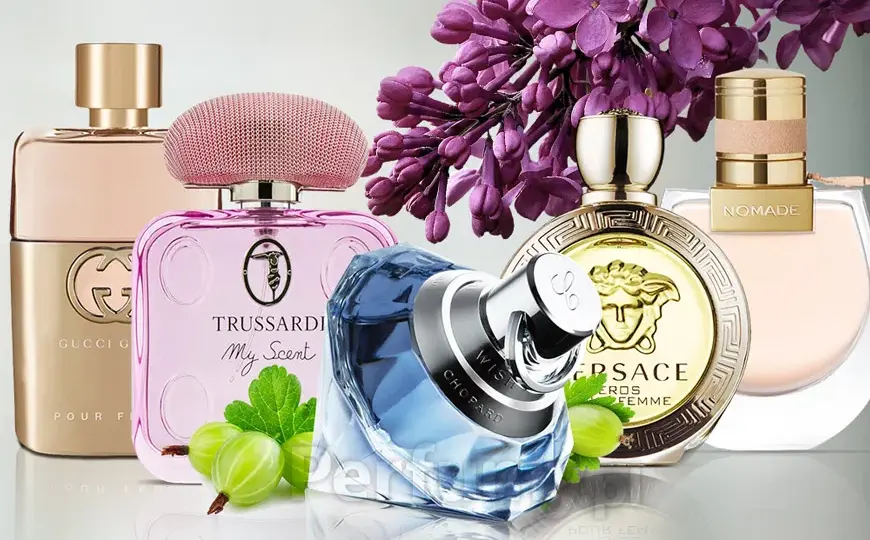 Gdzie kupić perfumy bez i agrest? Sprawdź najlepsze oferty